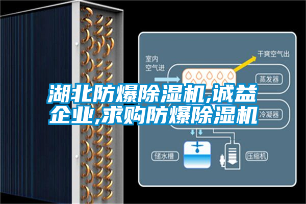 湖北防爆除濕機(jī),誠(chéng)益企業(yè),求購防爆除濕機(jī)