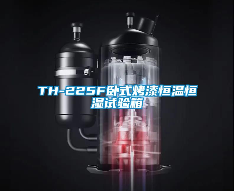 TH-225F臥式烤漆恒溫恒濕試驗箱