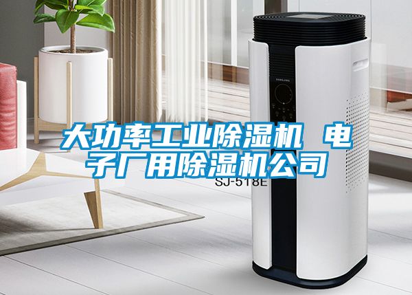 大功率工業(yè)除濕機 電子廠用除濕機公司