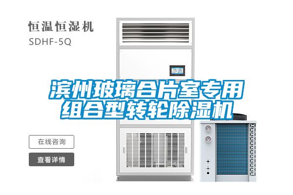 濱州玻璃合片室專用組合型轉輪除濕機