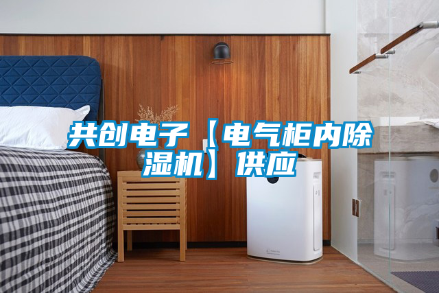 共創(chuàng)電子【電氣柜內除濕機】供應