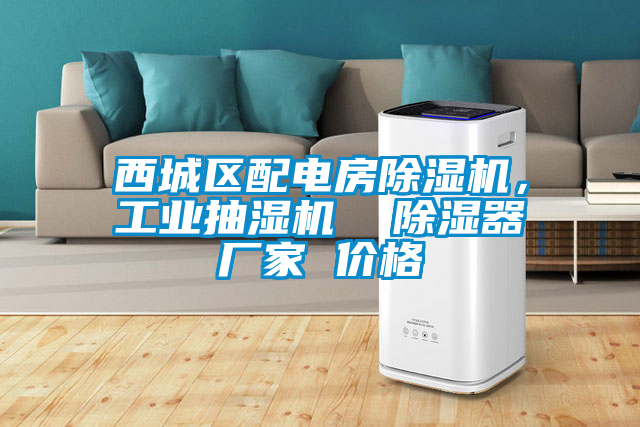 西城區(qū)配電房除濕機(jī)，工業(yè)抽濕機(jī)  除濕器廠家 價(jià)格