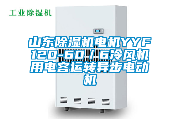 山東除濕機電機YYF120-60／6冷風機用電容運轉(zhuǎn)異步電動機