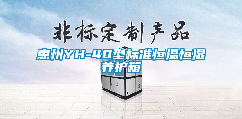 惠州YH-40型標準恒溫恒濕養(yǎng)護箱