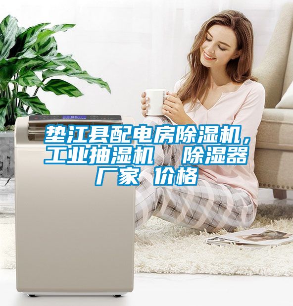 墊江縣配電房除濕機(jī)，工業(yè)抽濕機(jī)  除濕器廠家 價(jià)格