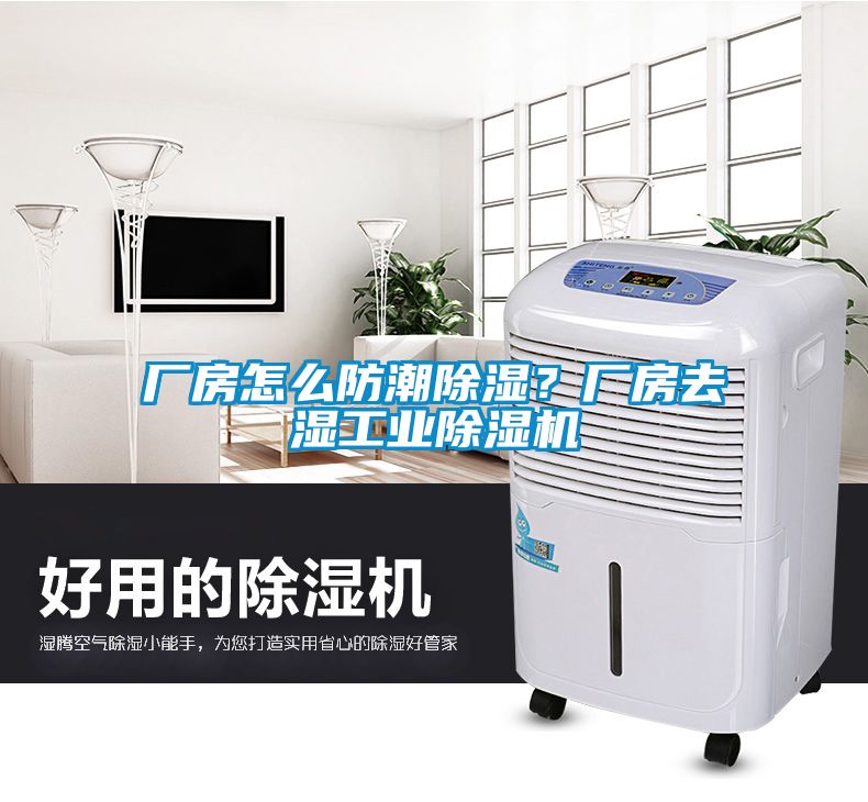 廠房怎么防潮除濕？廠房去濕工業(yè)除濕機