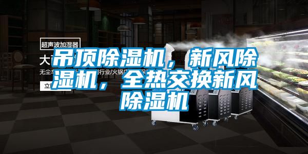 吊頂除濕機，新風(fēng)除濕機，全熱交換新風(fēng)除濕機