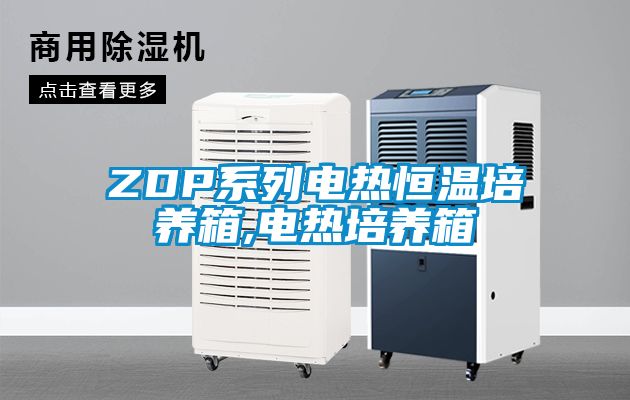 ZDP系列電熱恒溫培養(yǎng)箱,電熱培養(yǎng)箱