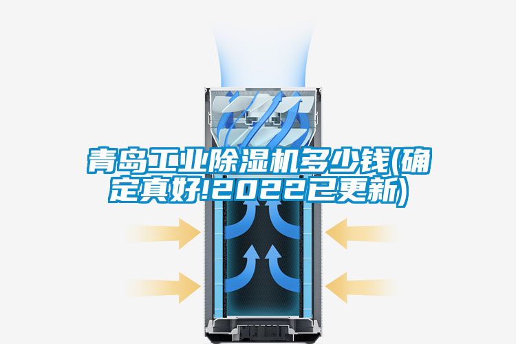 青島工業(yè)除濕機多少錢(確定真好!2022已更新)