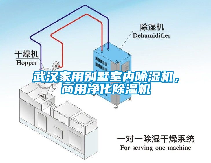 武漢家用別墅室內(nèi)除濕機，商用凈化除濕機