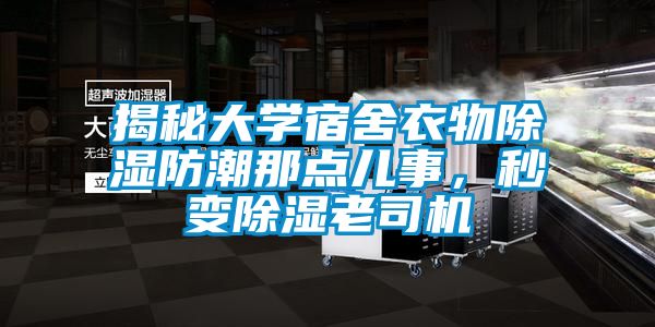 揭秘大學宿舍衣物除濕防潮那點兒事，秒變除濕老司機