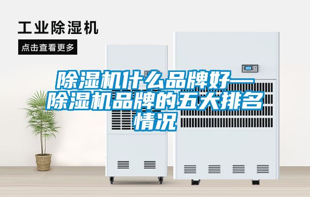 除濕機(jī)什么品牌好—除濕機(jī)品牌的五大排名情況