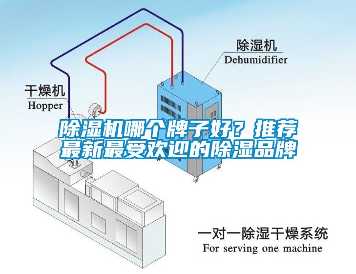 除濕機(jī)哪個(gè)牌子好？推薦最新最受歡迎的除濕品牌