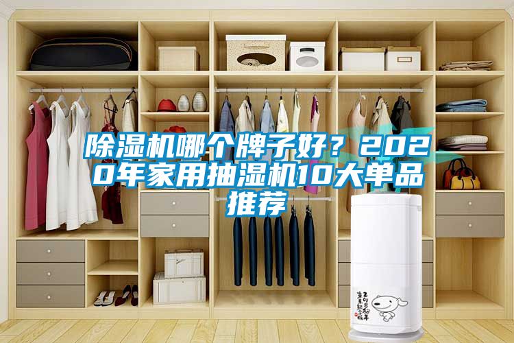 除濕機哪個牌子好？2020年家用抽濕機10大單品推薦