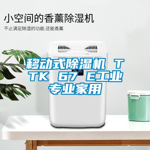 移動式除濕機 TTK 67 E工業(yè)專業(yè)家用