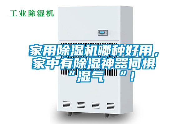 家用除濕機(jī)哪種好用，家中有除濕神器何懼 “濕氣 “！