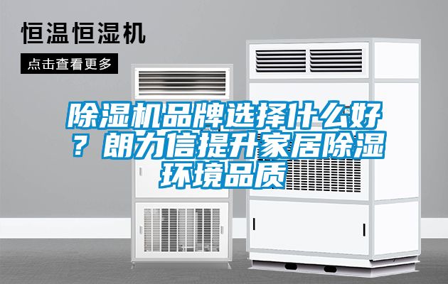 除濕機(jī)品牌選擇什么好？朗力信提升家居除濕環(huán)境品質(zhì)