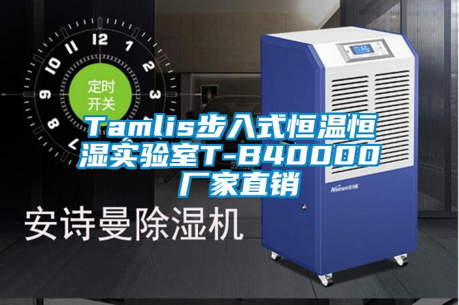 Tamlis步入式恒溫恒濕實驗室T-B40000 廠家直銷