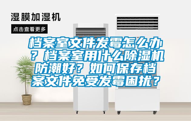 檔案室文件發(fā)霉怎么辦？檔案室用什么除濕機防潮好？如何保存檔案文件免受發(fā)霉困擾？