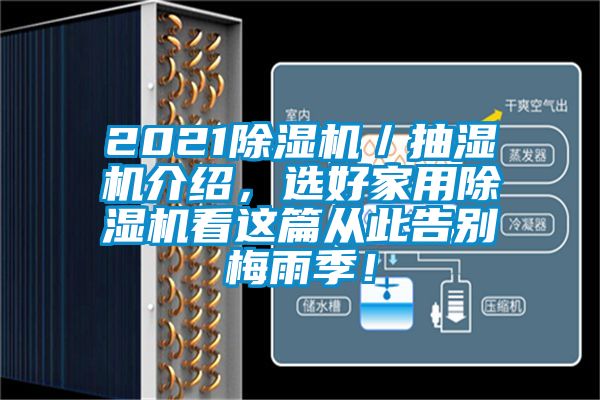 2021除濕機／抽濕機介紹，選好家用除濕機看這篇從此告別梅雨季！