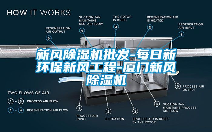 新風(fēng)除濕機(jī)批發(fā)-每日新環(huán)保新風(fēng)工程-廈門(mén)新風(fēng)除濕機(jī)